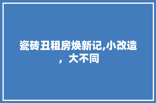 瓷砖丑租房焕新记,小改造，大不同 家电维修