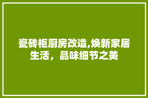 瓷砖柜厨房改造,焕新家居生活，品味细节之美 汽车维修
