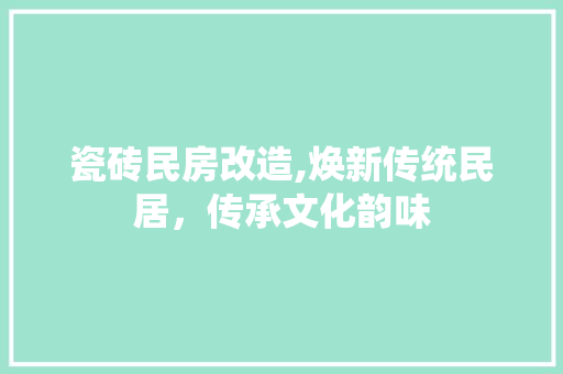 瓷砖民房改造,焕新传统民居，传承文化韵味 综合便民