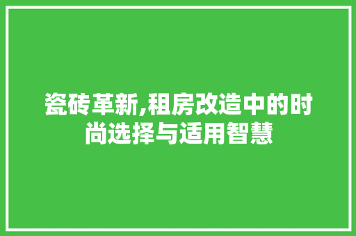 瓷砖革新,租房改造中的时尚选择与适用智慧 厨房维修