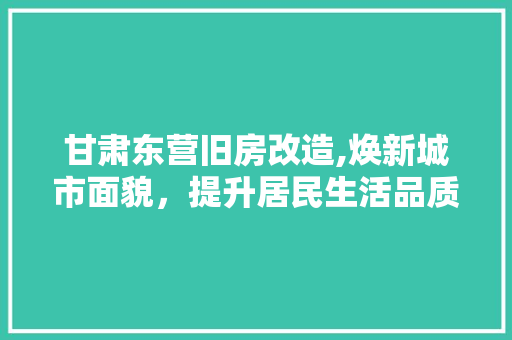 甘肃东营旧房改造,焕新城市面貌，提升居民生活品质 汽车维修