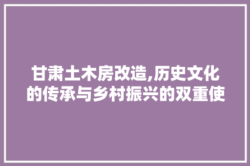 甘肃土木房改造,历史文化的传承与乡村振兴的双重使命