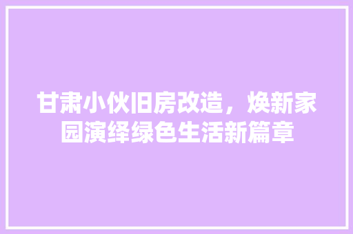 甘肃小伙旧房改造，焕新家园演绎绿色生活新篇章 综合便民