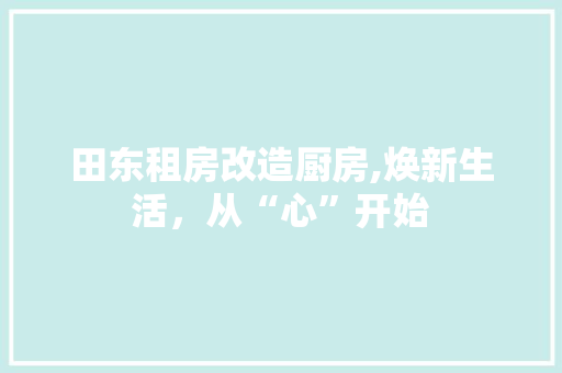 田东租房改造厨房,焕新生活，从“心”开始 家电维修
