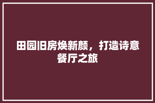 田园旧房焕新颜，打造诗意餐厅之旅 墙体维修