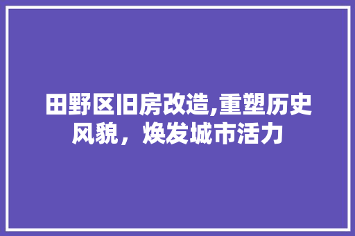 田野区旧房改造,重塑历史风貌，焕发城市活力