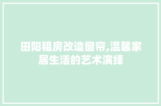 田阳租房改造窗帘,温馨家居生活的艺术演绎