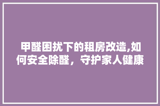 甲醛困扰下的租房改造,如何安全除醛，守护家人健康