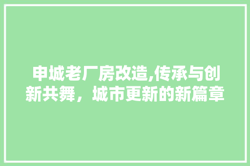 申城老厂房改造,传承与创新共舞，城市更新的新篇章