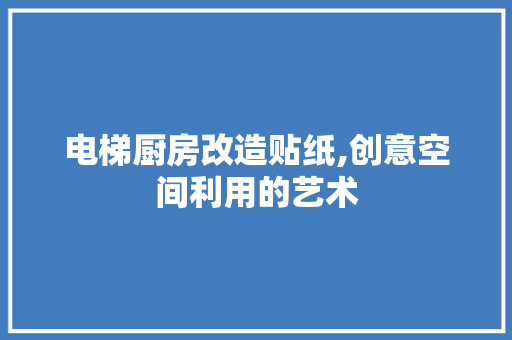电梯厨房改造贴纸,创意空间利用的艺术
