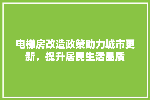 电梯房改造政策助力城市更新，提升居民生活品质