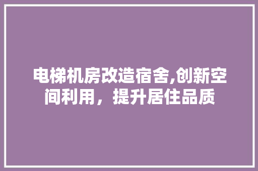 电梯机房改造宿舍,创新空间利用，提升居住品质