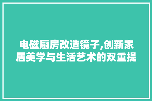 电磁厨房改造镜子,创新家居美学与生活艺术的双重提升