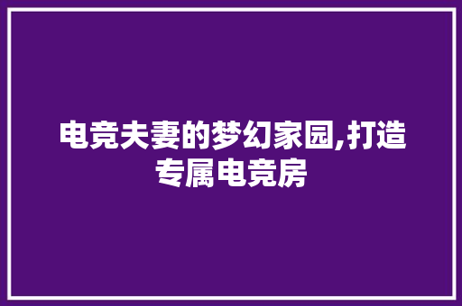 电竞夫妻的梦幻家园,打造专属电竞房