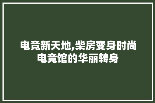 电竞新天地,柴房变身时尚电竞馆的华丽转身 综合便民