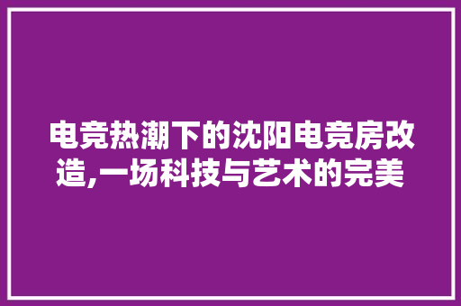 电竞热潮下的沈阳电竞房改造,一场科技与艺术的完美邂逅
