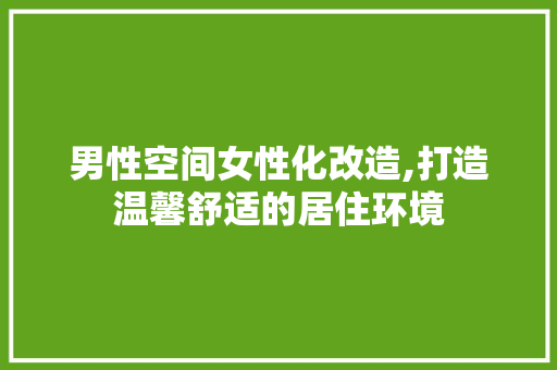 男性空间女性化改造,打造温馨舒适的居住环境 墙体维修