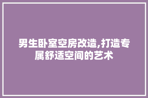 男生卧室空房改造,打造专属舒适空间的艺术 厨房维修