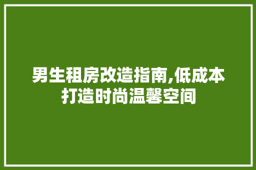 男生租房改造指南,低成本打造时尚温馨空间 墙体维修