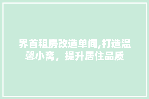 界首租房改造单间,打造温馨小窝，提升居住品质 墙体维修