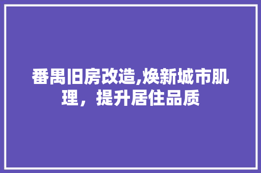 番禺旧房改造,焕新城市肌理，提升居住品质 厨房维修