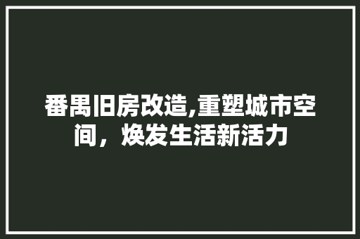 番禺旧房改造,重塑城市空间，焕发生活新活力