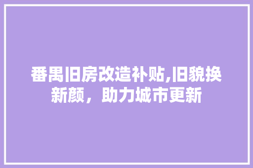 番禺旧房改造补贴,旧貌换新颜，助力城市更新 厨房维修
