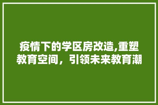 疫情下的学区房改造,重塑教育空间，引领未来教育潮流 家电维修
