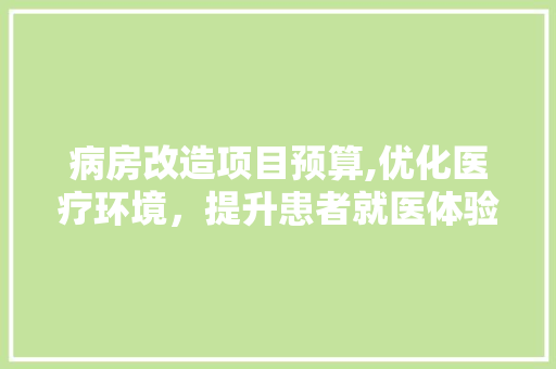 病房改造项目预算,优化医疗环境，提升患者就医体验 汽车维修