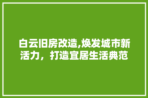 白云旧房改造,焕发城市新活力，打造宜居生活典范