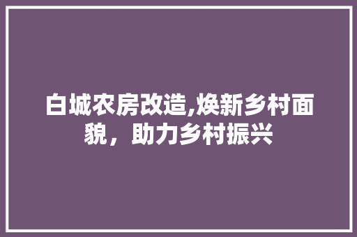 白城农房改造,焕新乡村面貌，助力乡村振兴
