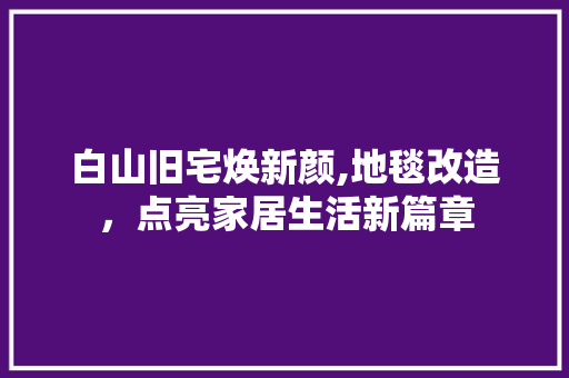 白山旧宅焕新颜,地毯改造，点亮家居生活新篇章 墙体维修