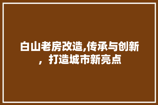 白山老房改造,传承与创新，打造城市新亮点 家电维修