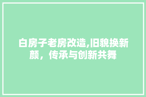 白房子老房改造,旧貌换新颜，传承与创新共舞 墙体维修