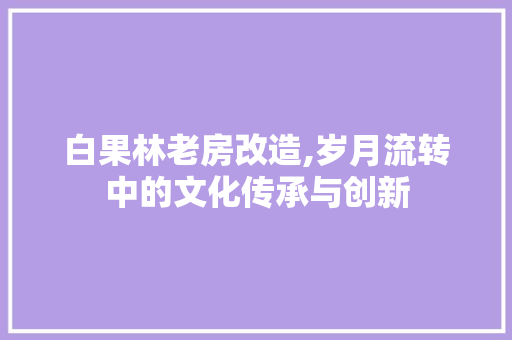 白果林老房改造,岁月流转中的文化传承与创新