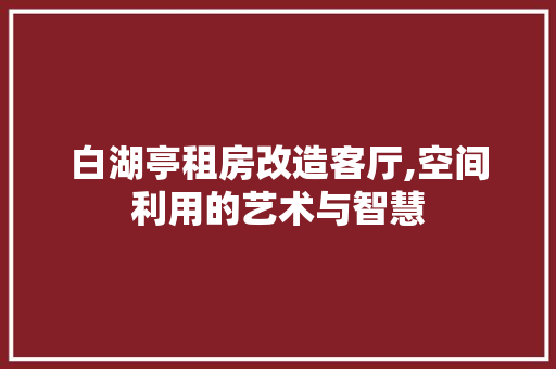 白湖亭租房改造客厅,空间利用的艺术与智慧