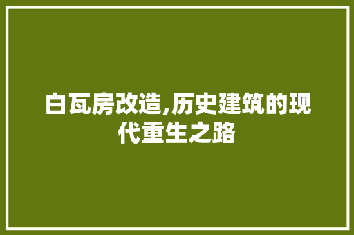 白瓦房改造,历史建筑的现代重生之路 家电维修