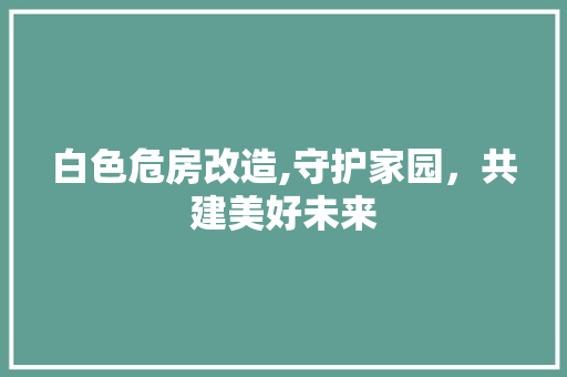 白色危房改造,守护家园，共建美好未来