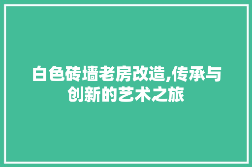 白色砖墙老房改造,传承与创新的艺术之旅
