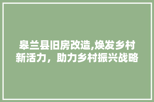 皋兰县旧房改造,焕发乡村新活力，助力乡村振兴战略