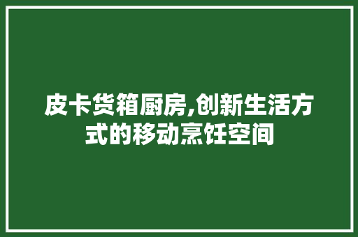 皮卡货箱厨房,创新生活方式的移动烹饪空间 厨房维修