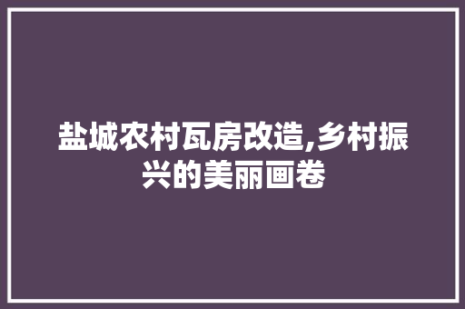 盐城农村瓦房改造,乡村振兴的美丽画卷