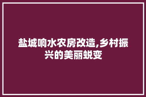 盐城响水农房改造,乡村振兴的美丽蜕变