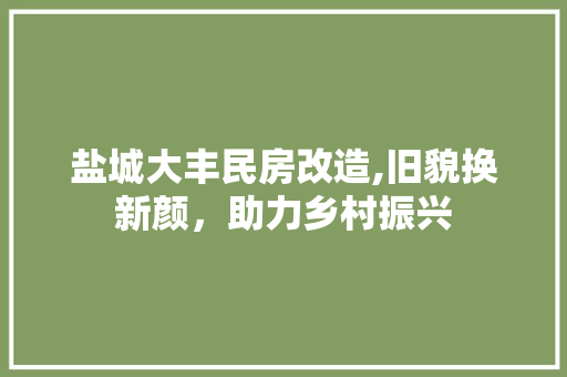 盐城大丰民房改造,旧貌换新颜，助力乡村振兴