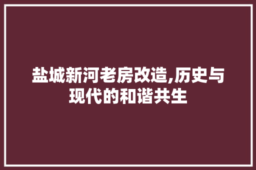 盐城新河老房改造,历史与现代的和谐共生