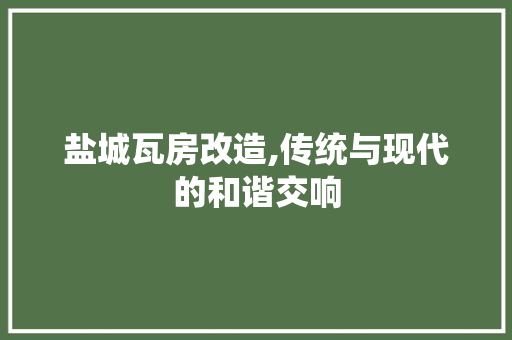 盐城瓦房改造,传统与现代的和谐交响