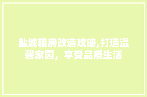 盐城租房改造攻略,打造温馨家园，享受品质生活
