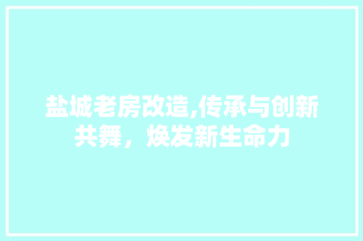 盐城老房改造,传承与创新共舞，焕发新生命力