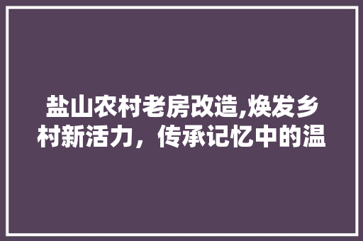 盐山农村老房改造,焕发乡村新活力，传承记忆中的温暖家园