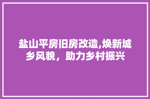 盐山平房旧房改造,焕新城乡风貌，助力乡村振兴